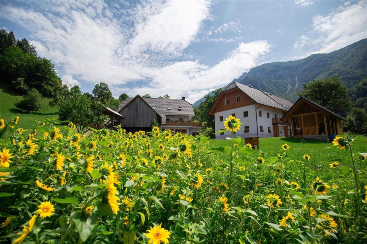 Apartments Tourist Farm Storman With Ev Ch-Station Tržič Dış mekan fotoğraf