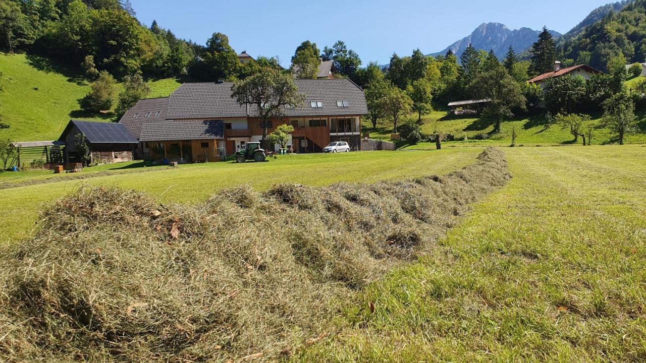 Apartments Tourist Farm Storman With Ev Ch-Station Tržič Dış mekan fotoğraf