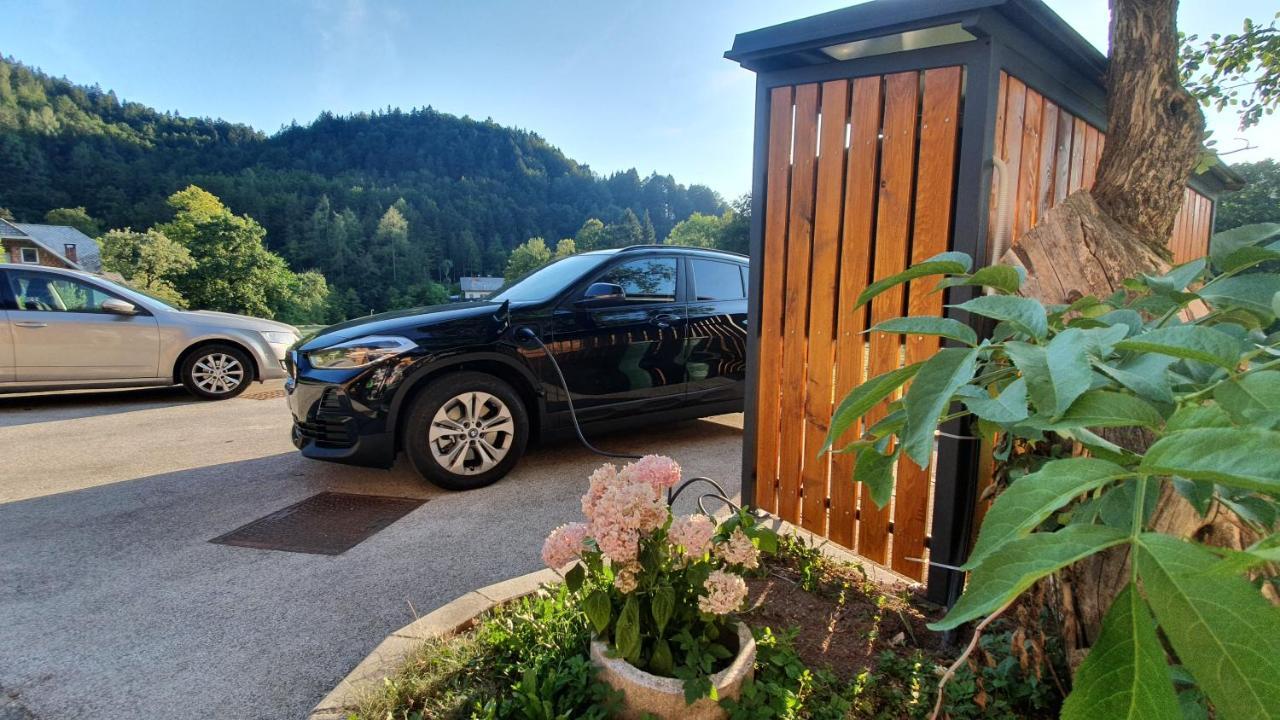 Apartments Tourist Farm Storman With Ev Ch-Station Tržič Dış mekan fotoğraf
