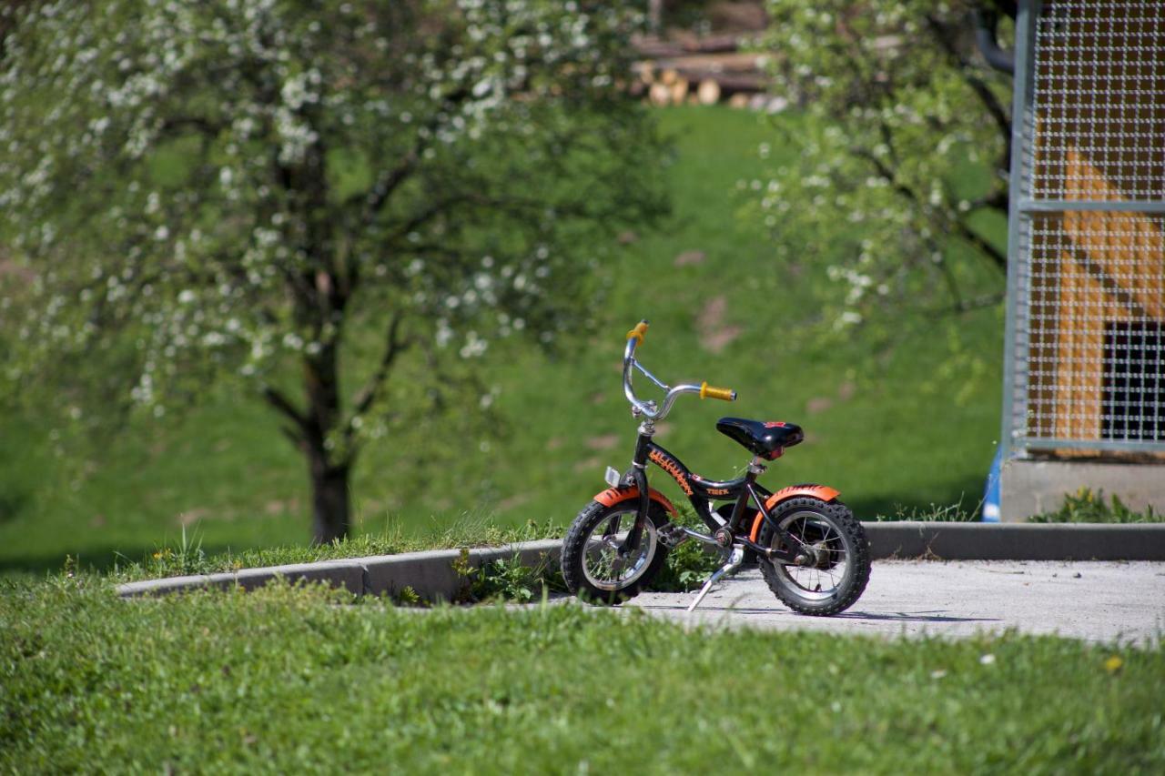 Apartments Tourist Farm Storman With Ev Ch-Station Tržič Dış mekan fotoğraf